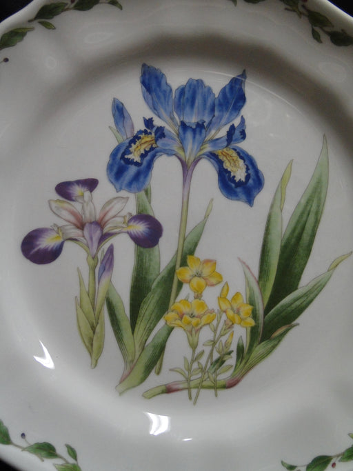 Noritake Gourmet Garden: Dinner Plate, 10 5/8", #5 Iris