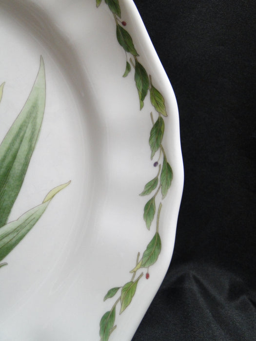Noritake Gourmet Garden: Dinner Plate, 10 5/8", #5 Iris