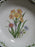 Noritake Gourmet Garden: Individual Pasta Bowl, 8 1/2", #7 Daffodil