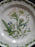 Noritake Gourmet Garden: Salad Plate, 8", #10 Silphium