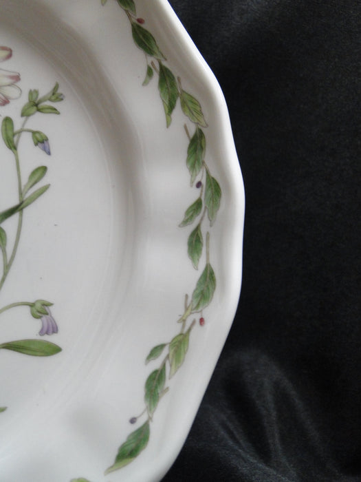 Noritake Gourmet Garden: Salad Plate, 8", #10 Silphium