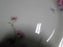 Haviland (Limoges) Schleiger 309, Pink & Blue Flowers: Salad Plate (s) 8", As Is