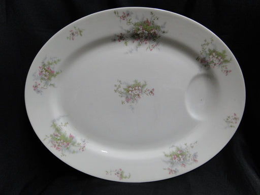 Haviland (New York) Apple Blossom: Oval Serving Platter, 16 1/4", White, No Trim