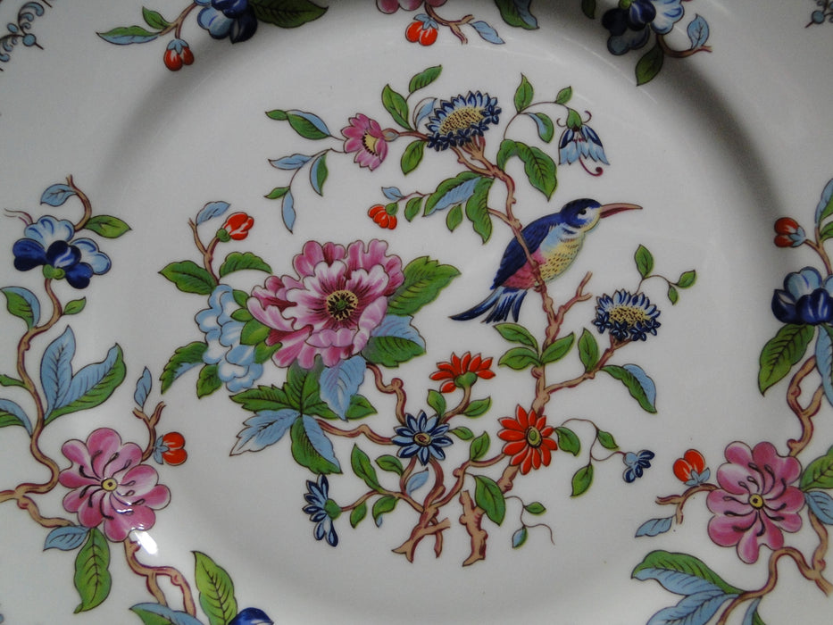 Aynsley Pembroke, Bird & Florals: Salad Plate (s), 8 3/8"