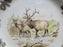 Spode Woodland Winter Scenes Elk: NEW Dinner Plate (s), 10 1/2", Box