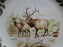 Spode Woodland Winter Scenes Elk: NEW Salad Plate (s), 7 3/4", Box