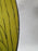 Franci for Taste Setter Villa Vanilla, Yellow: Dinner Plate, Tigers, 11 1/8"