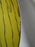 Franci for Taste Setter Villa Vanilla, Yellow: Dinner Plate, Tigers, 11 1/8"