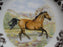 Spode Woodland Horses American Quarter, England: NEW Salad Plate (s), 7 3/4" Box