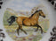 Spode Woodland Horses American Quarter, England: NEW Salad Plate (s), 7 3/4", Box