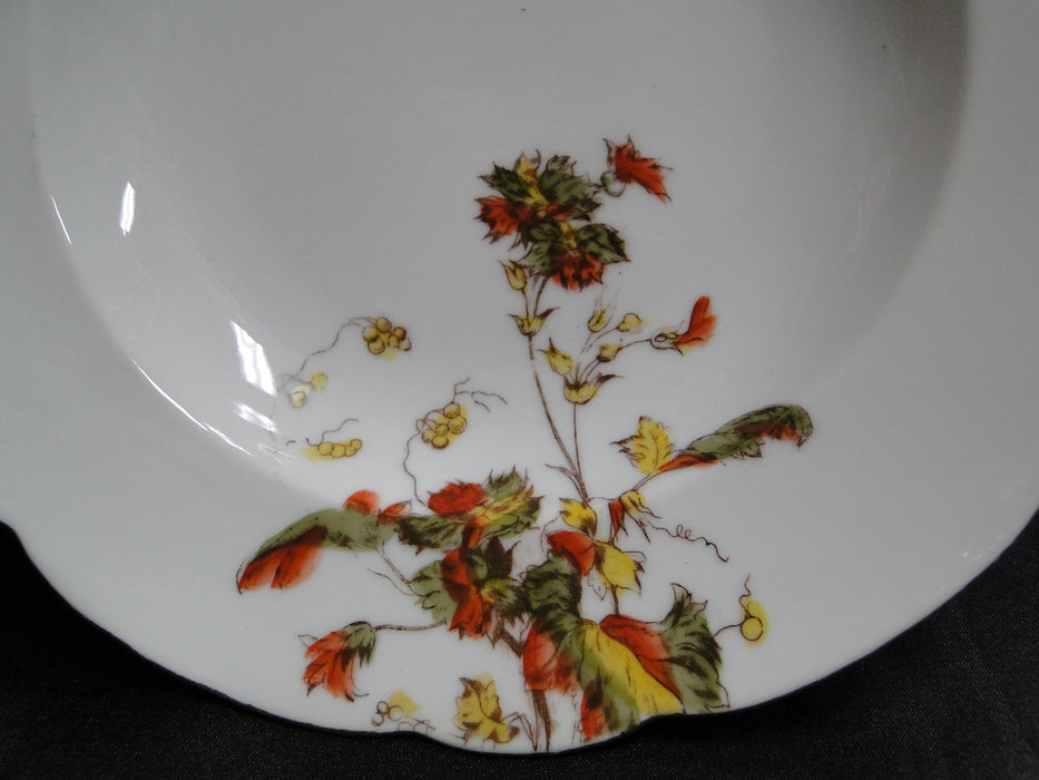 Schwalb Brothers (BSM), Coral Flowers: Rim Soup Bowl (s), 8 1/2", Gold Trim