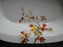 Schwalb Brothers (BSM), Coral Flowers: Oval Serving Bowl 9 7/8" As Is, Design #2