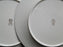Lenox Moonspun, White Flowers, Platinum: Dinner Plate (s), 10 1/2"