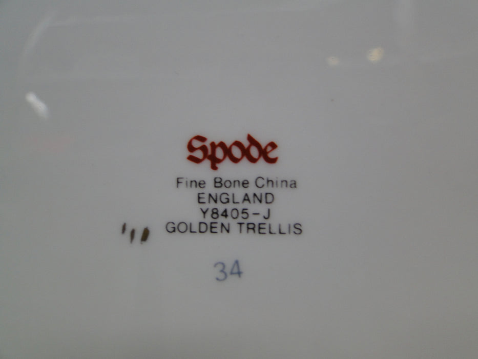 Spode Golden Trellis Y8405, Flowers, Gold Lattice: Platter 13" x 10 1/4"