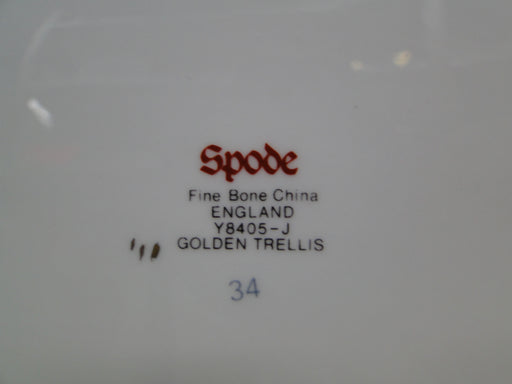 Spode Golden Trellis Y8405, Flowers, Gold Lattice: Platter, 16 3/4" x 13 1/2"