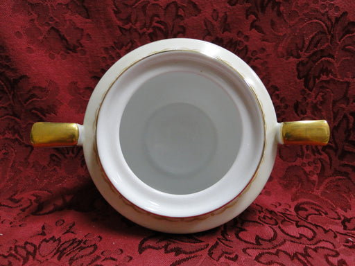 Noritake Tan Scrolls Around Multicolored Florals w/ Teal Edge: Sugar Bowl No Lid