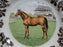 Spode Woodland Horses Thoroughbred, England: NEW Salad Plate (s), 7 3/4", Box