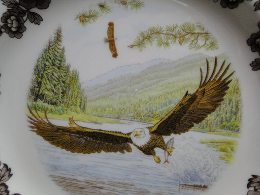 Spode Woodland Birds of Prey Spring Bald Eagle: NEW Dinner Plate (s), 10 1/2", Box