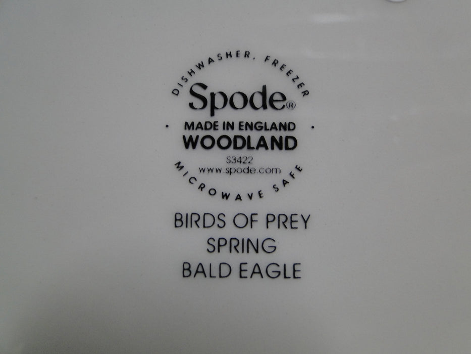 Spode Woodland Birds of Prey Spring Bald Eagle: NEW Dinner Plate (s), 10 1/2", Box