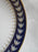 Wedgwood X7860, White Laurel on Cobalt w/ Gold: 5 1/2" Saucer (s) Only
