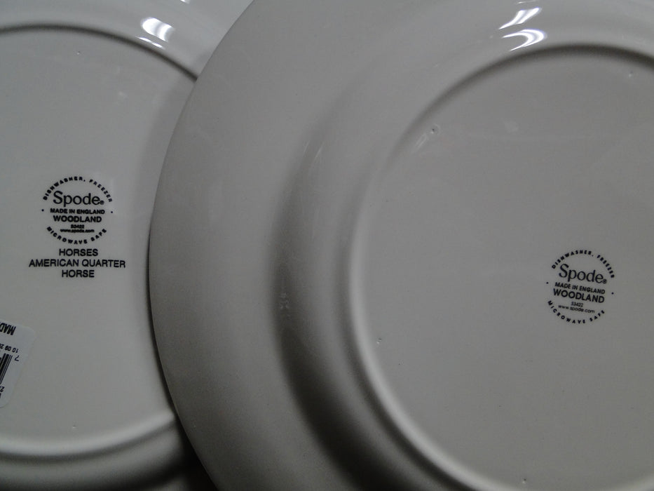 Spode Woodland Horses American Quarter, England: NEW Dinner Plate 10 1/2", Box
