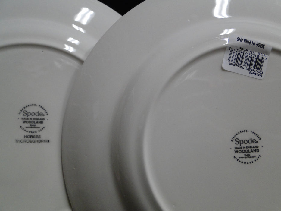Spode Woodland Horses Thoroughbred, England: New Dinner Plate, 10 1/2",  Box