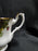 Royal Albert Old Country Roses: Cup & Saucer Set, 2 3/4"