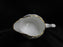 Aynsley Pembroke, Bird & Florals: Mini Creamer, 2 5/8 Tall, White Thumb Rest
