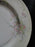 Haviland (New York) Apple Blossom: Dinner Plate (s), 10 1/8"