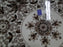 Mason's Bow Bells Brown, Flowers & Scrolls: Salad Plate (s), 8", Crazing
