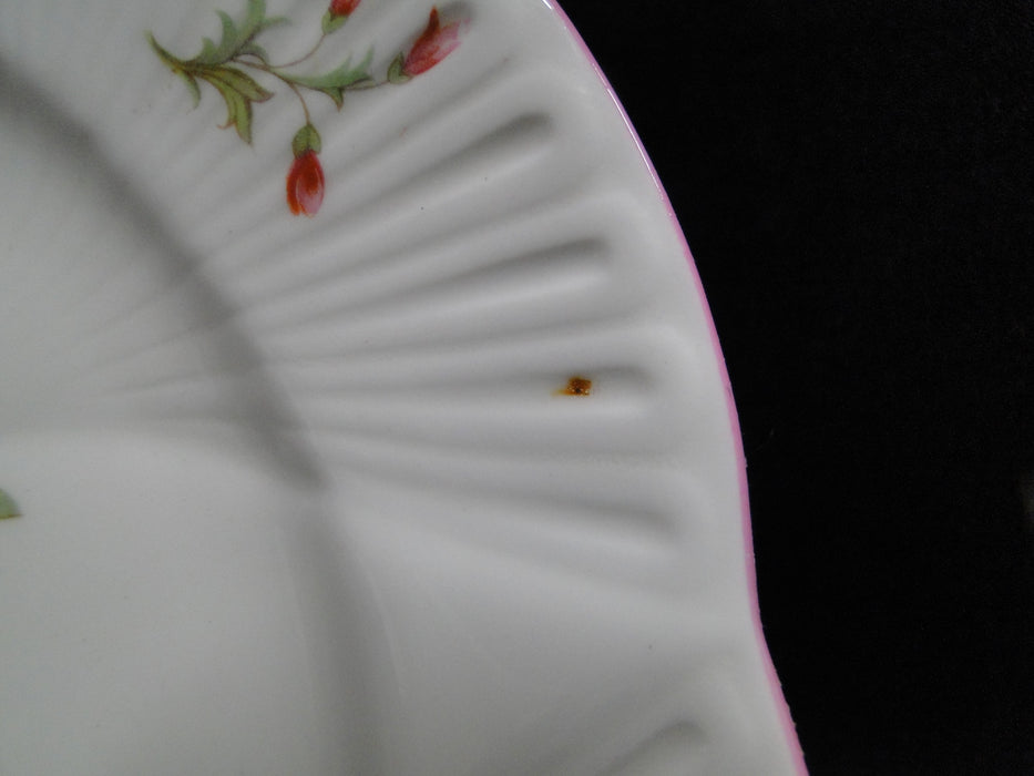 Shelley Rose & Red Daisy, Pink Trim: Salad Plate, 8", Dainty
