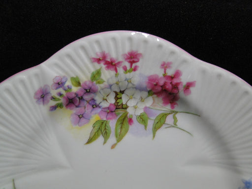 Shelley Stocks, Pink Flowers & Trim: Bread Plate, 6", As Is, Dainty