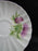 Shelley Thistle, Purple, Pink Trim: Cup & Saucer Set, 2 1/4", Ludlow
