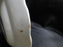 Booths Floradora Gold, Florals, Gold Trim: Bread Plate (s), 6 7/8", As Is
