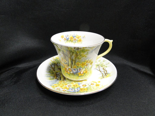 Shelley Daffodil Time, Trees: Cup & Saucer Set, 2 3/4" Tall, Smooth Edge