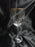 Gold Trim: Water or Wine Goblet, 8 3/8" Tall -- CR#085