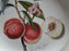 Portmeirion Pomona: Dinner Plate, Royal George, 10 ½”, No Laurel