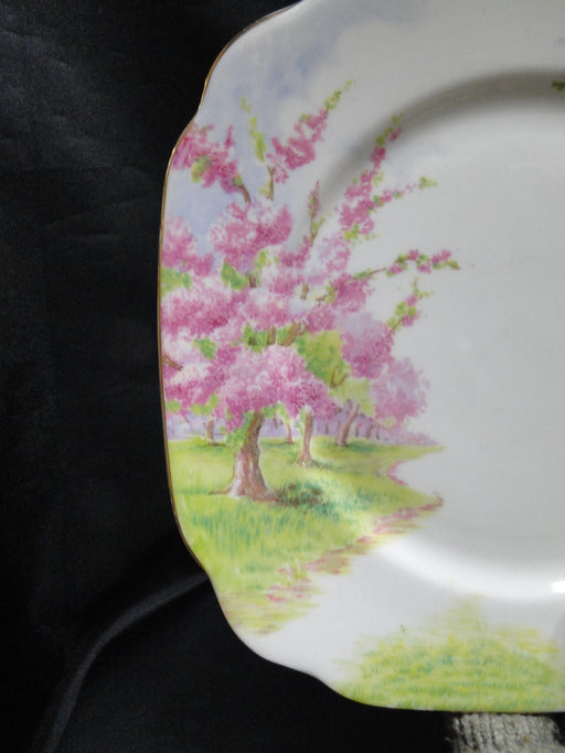 Royal Albert Blossom Time, Pink Flowering Trees: Square Salad Plate, 7 1/2"