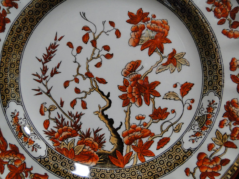 Copeland Spode India Tree Orange Rust: Luncheon Plate (s), 8 7/8"