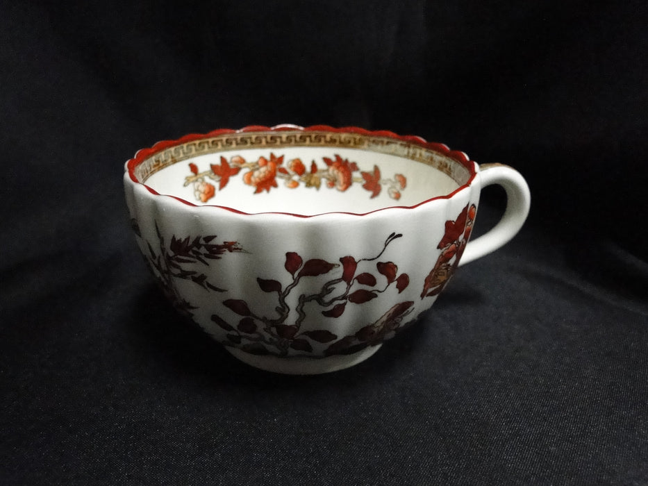 Copeland Spode India Tree Orange Rust: Cup & Saucer Set (s), 2 1/8", Bkstamp