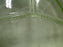 Anchor Hocking Cameo Green, Ballerina, Vaseline: Grill Plate, 10 1/2"
