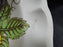 Copeland Spode Reynolds, Fruits & Flowers: Rim Soup Bowl (s), 8 1/2", Crazing