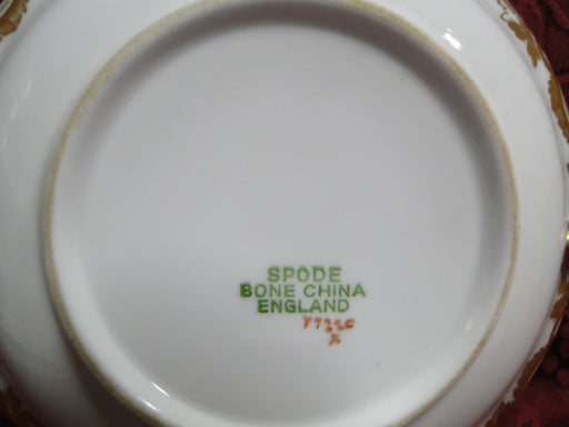 Spode Y7220, White w/ Gold Fruit & Trim: 5" Saucer (s) Only, No Cup