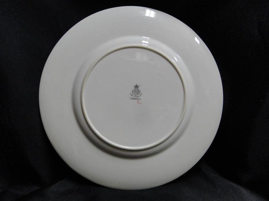 Royal Worcester Chantilly, #Z141/5: Dinner Plate (s), 10 5/8"