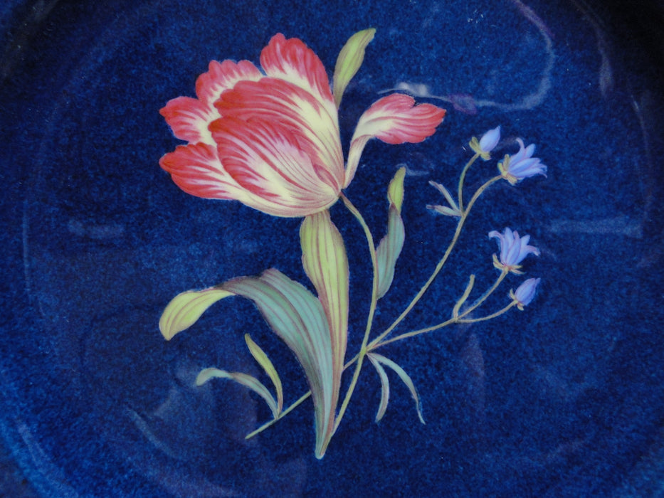 Spode Y3697, Blue, Flowers: Dinner Plate, #5 Tulip, 10 3/4"