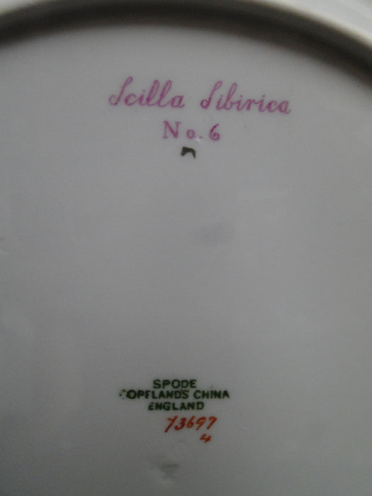 Spode Y3697, Blue, Flowers: Dinner Plate, #6 Scilla Siberica, 10 3/4"