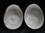 Steelite Craft, England: NEW White Freestyle Bowl (s), 7" x 2 1/4" Tall