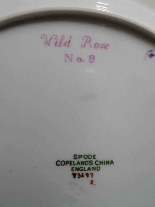 Spode Y3697, Blue, Flowers: Salad Plate, #9 Wild Rose, 9 1/8"