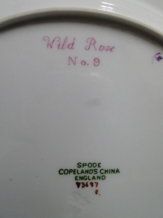 Spode Y3697, Blue, Flowers: Salad Plate, #9 Wild Rose, 9 1/8"