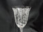 Cambridge Rose Point Clear 3121: Water or Wine Goblet (s), 8 1/4" Tall